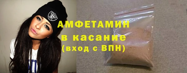 гашик Алексин