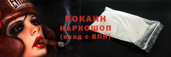 гашик Алексин