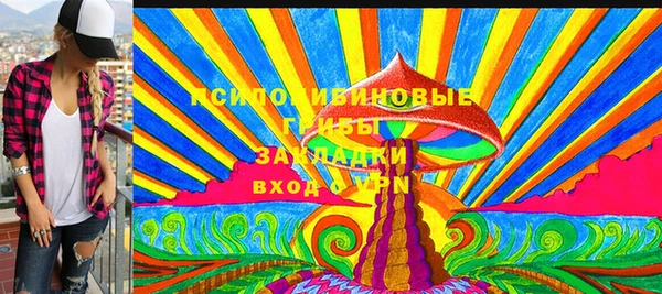 стаф Абинск