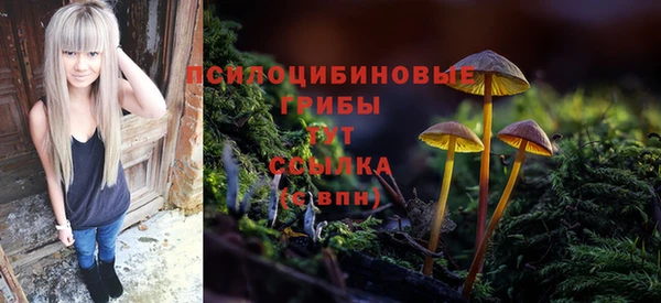 СК Алексеевка