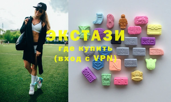 гашик Алексин
