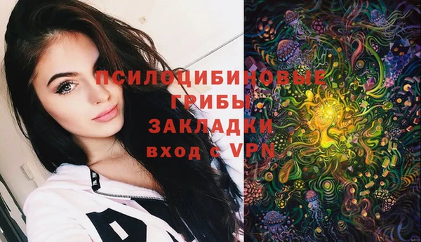 гашик Алексин